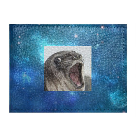 Обложка для студенческого билета с принтом Тюлень  в Курске, натуральная кожа | Размер: 11*8 см; Печать на всей внешней стороне | животное | забавный | мем | тюлень | я