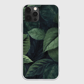 Чехол для iPhone 12 Pro Max с принтом Лесная маскировка в Курске, Силикон |  | branch | foliage | leafy | nature | ветка | веточка | зеленый | лист | листочки | листья | природа | черный