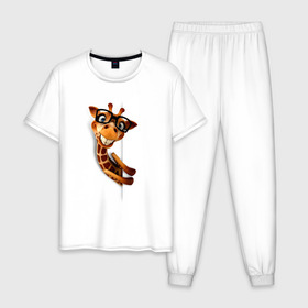 Мужская пижама хлопок с принтом Жираф в Курске, 100% хлопок | брюки и футболка прямого кроя, без карманов, на брюках мягкая резинка на поясе и по низу штанин
 | животное | животное в очках | жираф | жираф в очках | забавное | рисунок