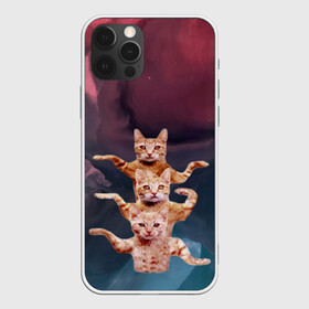 Чехол для iPhone 12 Pro Max с принтом Танцующие коты в Курске, Силикон |  | cats | забавный | котики | коты | мем | прикол | смешная | танцующие коты
