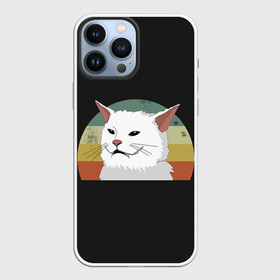 Чехол для iPhone 13 Pro Max с принтом Woman Yelling at Cat в Курске,  |  | Тематика изображения на принте: cat | cats | mem | meme | memes | женщина | кот | кричит | мем | мемы | на кота