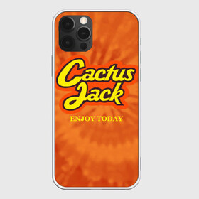 Чехол для iPhone 12 Pro Max с принтом Cactus Jack в Курске, Силикон |  | Тематика изображения на принте: reeses puffs | travis scott | джэк | кактус | трэвис скотт