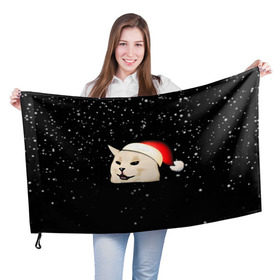 Флаг 3D с принтом woman yelling at cat в Курске, 100% полиэстер | плотность ткани — 95 г/м2, размер — 67 х 109 см. Принт наносится с одной стороны | happy new year | mem | woman yelling at cat | женщина кричит на кота | мем | новый год