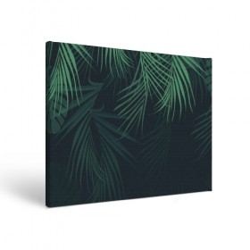 Холст прямоугольный с принтом Пальмовый узор в Курске, 100% ПВХ |  | джунгли | зелёный | лепестки | лепесток | лес | листья | пальма | пальмы | папоротник | салатовый | тропики | черный