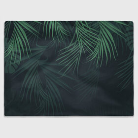 Плед 3D с принтом Пальмовый узор в Курске, 100% полиэстер | закругленные углы, все края обработаны. Ткань не мнется и не растягивается | Тематика изображения на принте: джунгли | зелёный | лепестки | лепесток | лес | листья | пальма | пальмы | папоротник | салатовый | тропики | черный