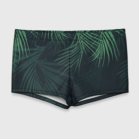 Мужские купальные плавки 3D с принтом Пальмовый узор в Курске, Полиэстер 85%, Спандекс 15% |  | джунгли | зелёный | лепестки | лепесток | лес | листья | пальма | пальмы | папоротник | салатовый | тропики | черный