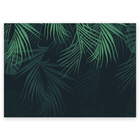 Поздравительная открытка с принтом Пальмовый узор в Курске, 100% бумага | плотность бумаги 280 г/м2, матовая, на обратной стороне линовка и место для марки
 | джунгли | зелёный | лепестки | лепесток | лес | листья | пальма | пальмы | папоротник | салатовый | тропики | черный