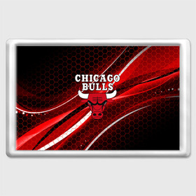 Магнит 45*70 с принтом CHICAGO BULLS в Курске, Пластик | Размер: 78*52 мм; Размер печати: 70*45 | bulls | chicago | chicago bulls | nba | red bulls | usa | америка | быки | нба | сша | чикаго буллс