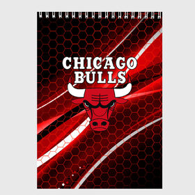 Скетчбук с принтом CHICAGO BULLS в Курске, 100% бумага
 | 48 листов, плотность листов — 100 г/м2, плотность картонной обложки — 250 г/м2. Листы скреплены сверху удобной пружинной спиралью | bulls | chicago | chicago bulls | nba | red bulls | usa | америка | быки | нба | сша | чикаго буллс