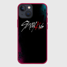 Чехол для iPhone 13 mini с принтом STRAY KIDS в Курске,  |  | Тематика изображения на принте: skz | stray kids | бан чан | ли ноу | скз | стрей кидс | сынмин | уджин | феликс | хан | хёджин | чанбин