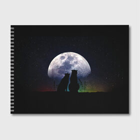 Альбом для рисования с принтом Льбовь под луной в Курске, 100% бумага
 | матовая бумага, плотность 200 мг. | волшебство ночи | котики | любовь | пара | романтика