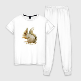 Женская пижама хлопок с принтом Белка в Курске, 100% хлопок | брюки и футболка прямого кроя, без карманов, на брюках мягкая резинка на поясе и по низу штанин | акварель | белка | рисунок