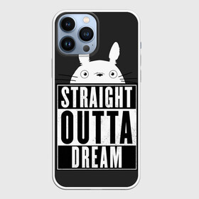 Чехол для iPhone 13 Pro Max с принтом Тоторо Straight outta dream в Курске,  |  | Тематика изображения на принте: anime | hayao miyazaki | japanese | meme | miyazaki | piano | studio ghibli | tokyo | totoro | гибли | котобус | мой | сосед | сусуватари | тонари | тоторо | хаяо миядзаки