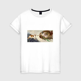 Женская футболка хлопок с принтом Сотворение Адама и кот в Курске, 100% хлопок | прямой крой, круглый вырез горловины, длина до линии бедер, слегка спущенное плечо | Тематика изображения на принте: mem | memes | весело | искусство | кот | котик | мем | прикол | сотворение адама