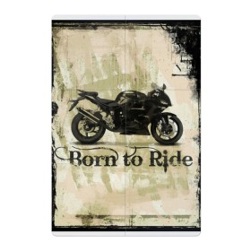 Магнитный плакат 2Х3 с принтом Born to Ride в Курске, Полимерный материал с магнитным слоем | 6 деталей размером 9*9 см | байк | байкер | байкеру | байкерше | беспечный ездок | ветер | гонки | дорога | езда | ездок | мото | мотобайк | мотогонки | мотокросс | мотор | мотоспорт | мотоцикл | мотоциклист | мотоциклисту