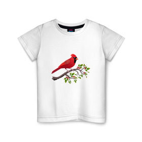 Детская футболка хлопок с принтом Красный кардинал в Курске, 100% хлопок | круглый вырез горловины, полуприлегающий силуэт, длина до линии бедер | cardinalis cardinalis | красный кардинал | новогодняя птица | птица | птичка | рождественская птица