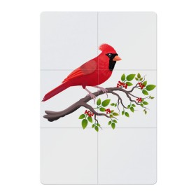 Магнитный плакат 2Х3 с принтом Красный кардинал в Курске, Полимерный материал с магнитным слоем | 6 деталей размером 9*9 см | cardinalis cardinalis | красный кардинал | новогодняя птица | птица | птичка | рождественская птица