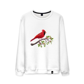 Мужской свитшот хлопок с принтом Красный кардинал в Курске, 100% хлопок |  | cardinalis cardinalis | красный кардинал | новогодняя птица | птица | птичка | рождественская птица