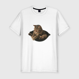 Мужская футболка хлопок Slim с принтом Кот в сковороде в Курске, 92% хлопок, 8% лайкра | приталенный силуэт, круглый вырез ворота, длина до линии бедра, короткий рукав | mem | кот | кот сидит в сковороде | котик | мем | прикол | смешной