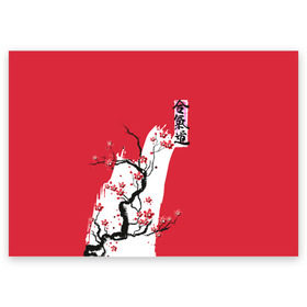 Поздравительная открытка с принтом Сакура Айкидо в Курске, 100% бумага | плотность бумаги 280 г/м2, матовая, на обратной стороне линовка и место для марки
 | aikido | аикидо | айкидо | восточные единоборства | единоборства | морихей уэсиба