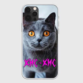 Чехол для iPhone 12 Pro Max с принтом Кис-Кис в Курске, Силикон |  | Тематика изображения на принте: группа | кис | кис кис | музыкальная | панк | рок