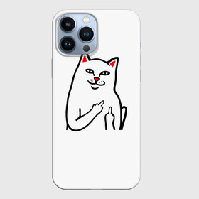 Чехол для iPhone 13 Pro Max с принтом Meme Cat в Курске,  |  | animal | cat | meme | животное | кот | кошка | мем | прикол | юмор