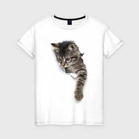 Женская футболка хлопок с принтом 3д кот в Курске, 100% хлопок | прямой крой, круглый вырез горловины, длина до линии бедер, слегка спущенное плечо | 3d | 3д | животные | кот | котик | кошка | прикольная картинка