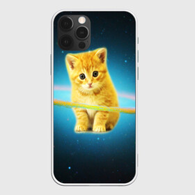 Чехол для iPhone 12 Pro с принтом Рыжий Котик в Курске, силикон | область печати: задняя сторона чехла, без боковых панелей | cat | cats | животные | киса | киска | кот | котики | коты | котэ | кошка | природа