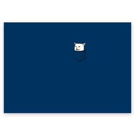 Поздравительная открытка с принтом СМАДЖ В КАРМАНЕ  в Курске, 100% бумага | плотность бумаги 280 г/м2, матовая, на обратной стороне линовка и место для марки
 | confused cat at dinner | woman yelling | белый кот | женщина орет на кота | кот | кот мем | кот смадж | котики | кошка | мем | мем с котом | мемы | прикол | смадж | юмор