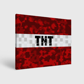 Холст прямоугольный с принтом MINECRAFT TNT / МАЙНКРАФТ ТНТ в Курске, 100% ПВХ |  | block | creeper | cube | minecraft | pixel | блок | геометрия | крафт | крипер | кубики | майнкрафт | пиксели