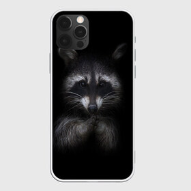 Чехол для iPhone 12 Pro Max с принтом енот в Курске, Силикон |  | Тематика изображения на принте: енот | енот хайп | еноты | животные | лайв тудей