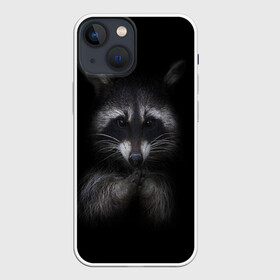 Чехол для iPhone 13 mini с принтом енот в Курске,  |  | Тематика изображения на принте: енот | енот хайп | еноты | животные | лайв тудей