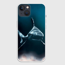 Чехол для iPhone 13 с принтом акула в Курске,  |  | fish | sea | shark | акула | водоросли | майки с морем | майки с прикольными рыбками | майки с рыбками | море | морская рыба | морские картинки | морские фото | прикольные рыбки | рыба | рыбка | хищная рыба