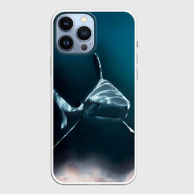 Чехол для iPhone 13 Pro Max с принтом акула в Курске,  |  | Тематика изображения на принте: fish | sea | shark | акула | водоросли | майки с морем | майки с прикольными рыбками | майки с рыбками | море | морская рыба | морские картинки | морские фото | прикольные рыбки | рыба | рыбка | хищная рыба