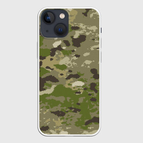 Чехол для iPhone 13 mini с принтом CAMOUFLAGE в Курске,  |  | 23 февраля | amel flags | camouflage | dazzle paint | province | provinces | день защитника отечества | камуфляж | маскировка | сокрытие