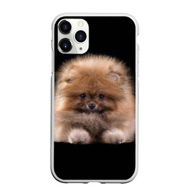 Чехол для iPhone 11 Pro матовый с принтом Рыжий Шпиц в Курске, Силикон |  | детская | женская | купить | мужская | пес | рисунки щенков | рыжий | с принтом | с собаками | с собакой | со шпицами | со щенком | собака | собаки | шпиц | щенок