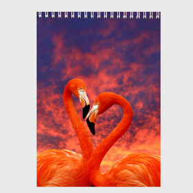 Скетчбук с принтом Flamingo Love в Курске, 100% бумага
 | 48 листов, плотность листов — 100 г/м2, плотность картонной обложки — 250 г/м2. Листы скреплены сверху удобной пружинной спиралью | 14 февраля | 8 марта | валентинов день | верность | влюбленность | влюбленные | вместе | вместе навсегда | девушке | женат | женский день | женский праздник | закат | замужем | кружка | любимая
