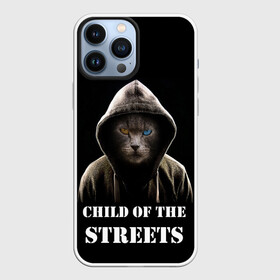 Чехол для iPhone 13 Pro Max с принтом Дитя улиц в Курске,  |  | cat | gangster | балахон | глаза | дитя улиц | кот | котик | крутой | крутой принт | принт | с надписью | топ | тренд