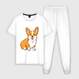 Мужская пижама хлопок с принтом Корги в Курске, 100% хлопок | брюки и футболка прямого кроя, без карманов, на брюках мягкая резинка на поясе и по низу штанин
 | dog. корги | dogs | весёлые собачки | милые собачки | прикольные собачки | собаки | собачки