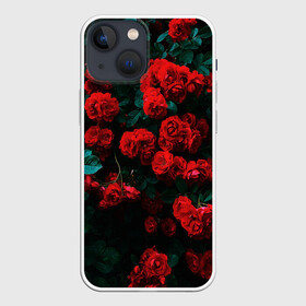 Чехол для iPhone 13 mini с принтом Розы в Курске,  |  | 8 марта | девушке | подарок | подруге | розы | цветы