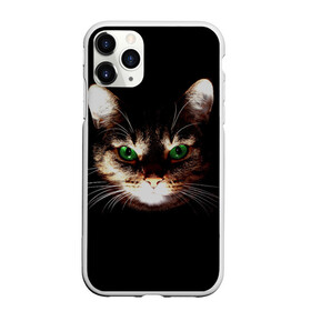 Чехол для iPhone 11 Pro Max матовый с принтом Зеленоглазый кот в Курске, Силикон |  | зеленые глаза | кот | котик | кошак | кошатнику | кошатнице | кошачий портрет | кошка | кошка с зелеными глазами | кружка | любительнице ко | любителю кошек | подушка | полосатый кот | портрет кота