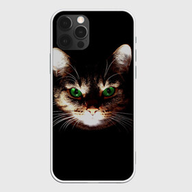 Чехол для iPhone 12 Pro с принтом Зеленоглазый кот в Курске, силикон | область печати: задняя сторона чехла, без боковых панелей | Тематика изображения на принте: зеленые глаза | кот | котик | кошак | кошатнику | кошатнице | кошачий портрет | кошка | кошка с зелеными глазами | кружка | любительнице ко | любителю кошек | подушка | полосатый кот | портрет кота
