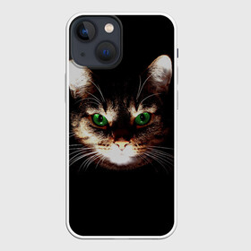 Чехол для iPhone 13 mini с принтом Зеленоглазый кот в Курске,  |  | зеленые глаза | кот | котик | кошак | кошатнику | кошатнице | кошачий портрет | кошка | кошка с зелеными глазами | кружка | любительнице ко | любителю кошек | подушка | полосатый кот | портрет кота