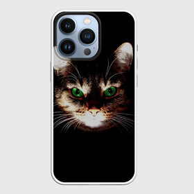 Чехол для iPhone 13 Pro с принтом Зеленоглазый кот в Курске,  |  | Тематика изображения на принте: зеленые глаза | кот | котик | кошак | кошатнику | кошатнице | кошачий портрет | кошка | кошка с зелеными глазами | кружка | любительнице ко | любителю кошек | подушка | полосатый кот | портрет кота