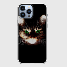 Чехол для iPhone 13 Pro Max с принтом Зеленоглазый кот в Курске,  |  | Тематика изображения на принте: зеленые глаза | кот | котик | кошак | кошатнику | кошатнице | кошачий портрет | кошка | кошка с зелеными глазами | кружка | любительнице ко | любителю кошек | подушка | полосатый кот | портрет кота