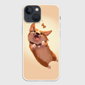 Чехол для iPhone 13 mini с принтом КОРГИ в Курске,  |  | animals | corgi | dogs | pets | puppies | queen | животные | корги | королева | песики | питомцы | собаки | щенки