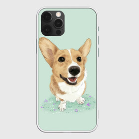 Чехол для iPhone 12 Pro Max с принтом КОРГИ в Курске, Силикон |  | animals | corgi | dogs | pets | puppies | queen | животные | корги | королева | песики | питомцы | собаки | щенки