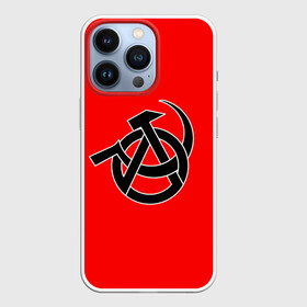 Чехол для iPhone 13 Pro с принтом Анархия в Курске,  |  | art | rock | sons of anarchy | анархия | арт | группа | егор летов | логотип | музыка | панк | панк рок | прикольная | рок | свобода | хаос