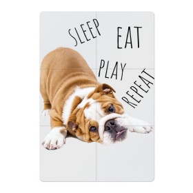 Магнитный плакат 2Х3 с принтом Sleep Eat Play Repeat (Бульдог) в Курске, Полимерный материал с магнитным слоем | 6 деталей размером 9*9 см | bulldog | dog | puppy | sleep eat play repeat | английский бульдог | бульдог | бульдог английский | веселая собака | веселый щенок | игривый щенок | мысли с | мысли щенка | рыжая собака | рыжий щенок | собачья жизнь