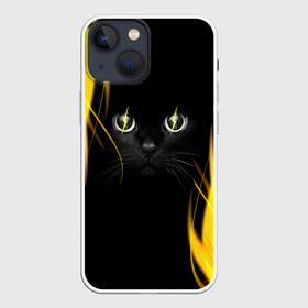Чехол для iPhone 13 mini с принтом Грозовой кошак в Курске,  |  | глаза | грозовой | кот | кошак | молнии | пламя | разряды | черный